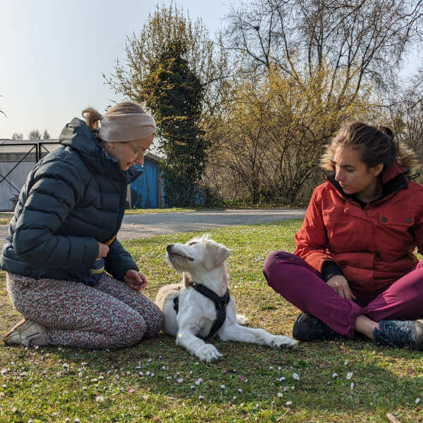 einzelstunde-hundeschule-luna