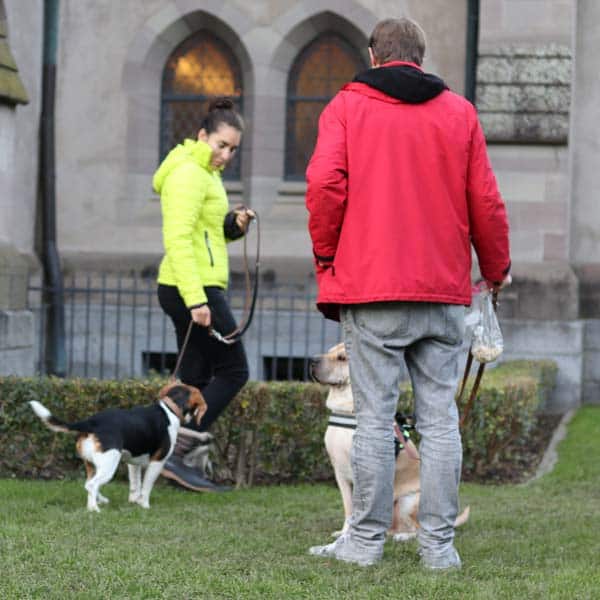 hundecoach basel - eugenia luna